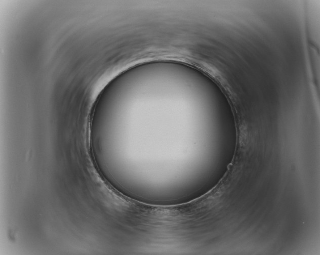 X0000103301520200809051511