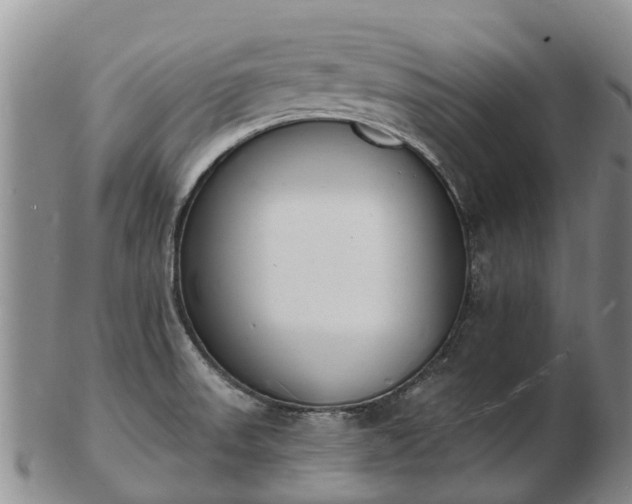 X0000103301523200809051511