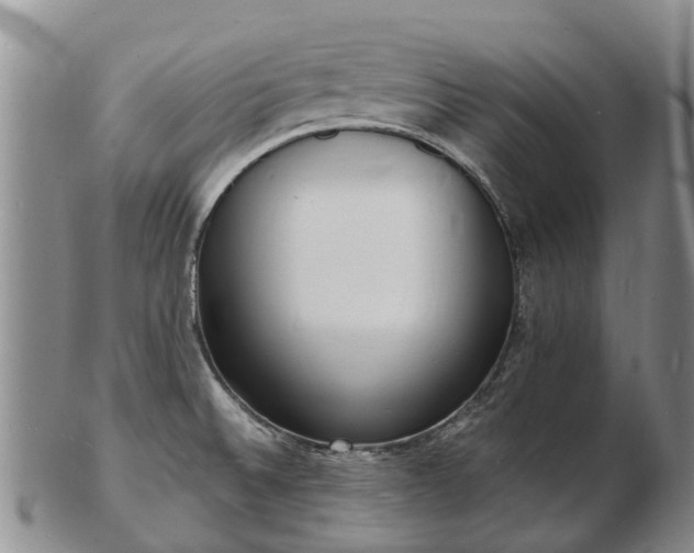 X0000103301524200809051511