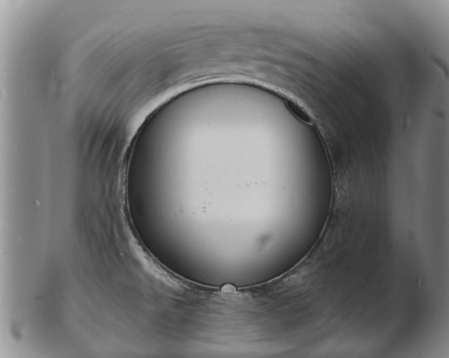 X0000103301526200809051511