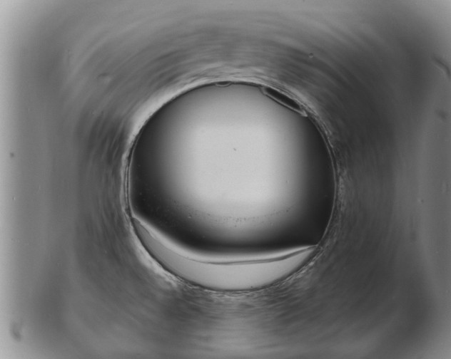 X0000103301528200809051511