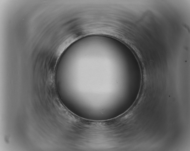 X0000103301529200809051511