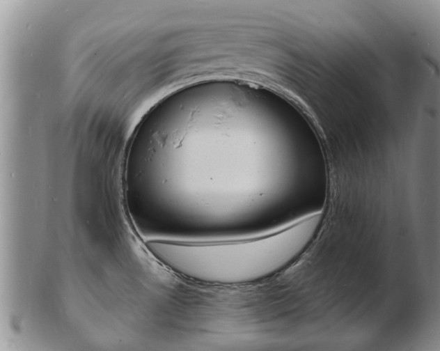 X0000103301530200809051511