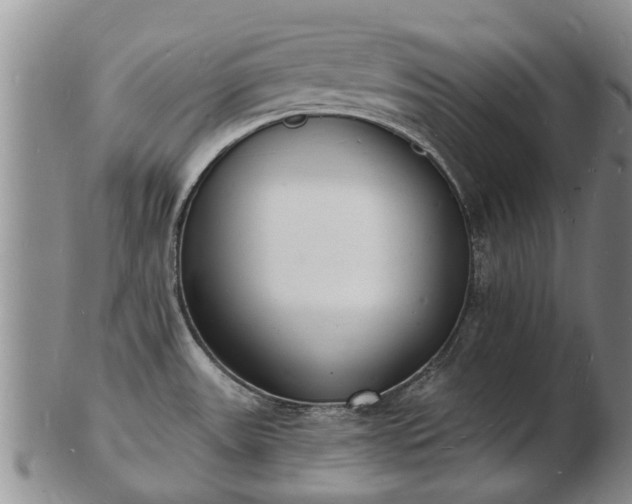 X0000103301531200809051511