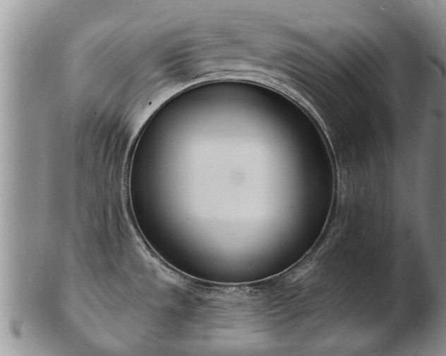 X0000103301533200809051511