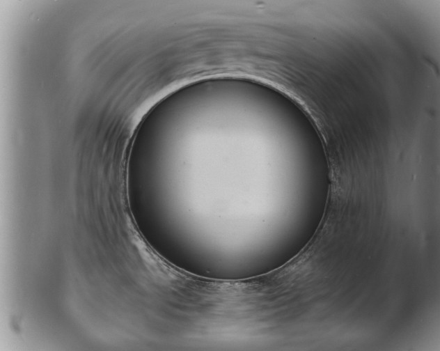 X0000103301534200809051511