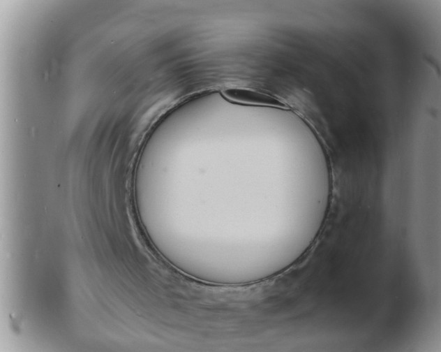 X0000103300001200809122040