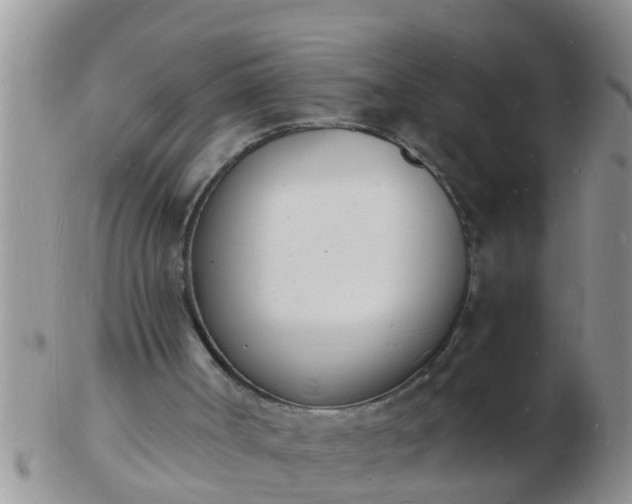 X0000103300002200809122040