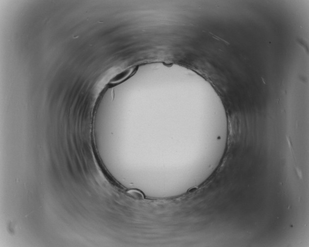 X0000103300003200809122040