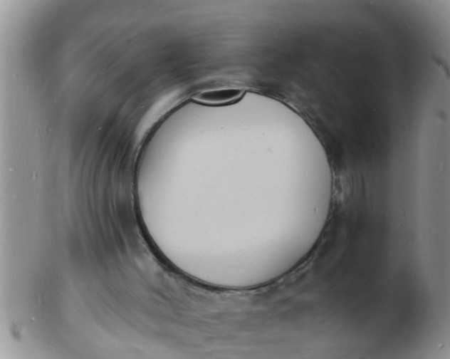 X0000103300004200809122040