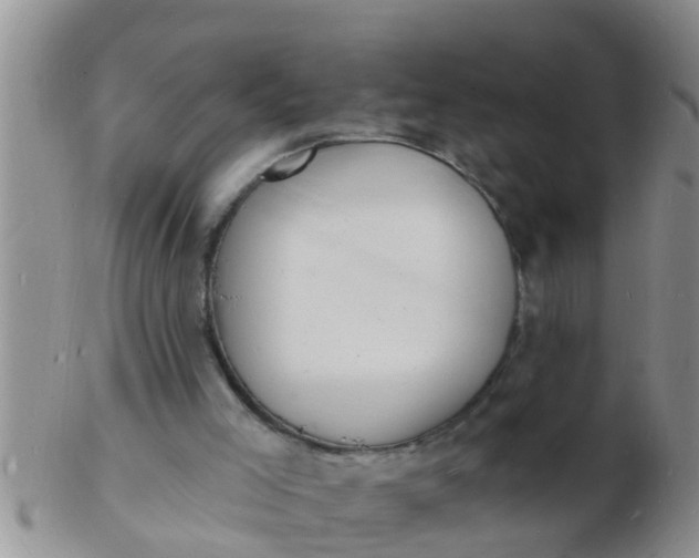 X0000103300005200809122040