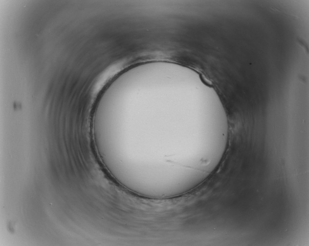 X0000103300006200809122040