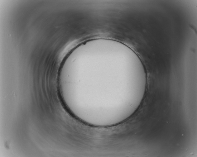 X0000103300007200809122040