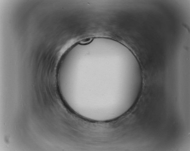 X0000103300008200809122040