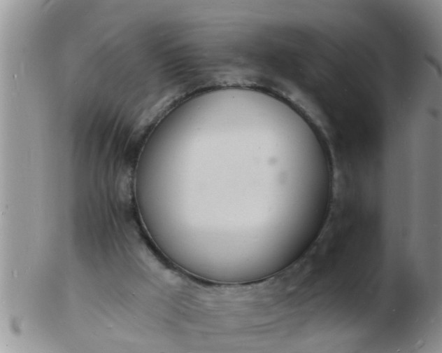 X0000103300009200809122040