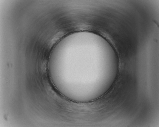 X0000103300010200809122040