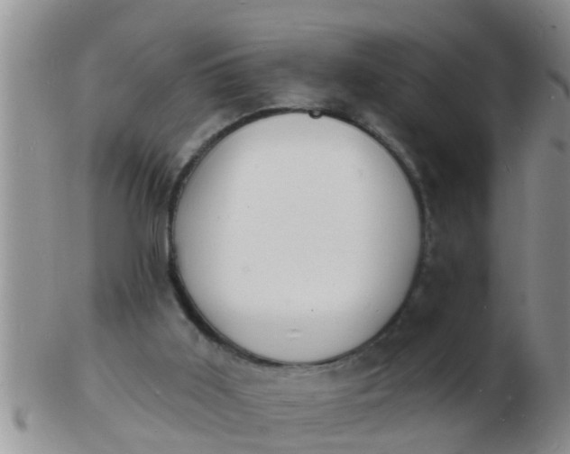 X0000103300011200809122040