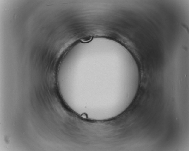 X0000103300012200809122040