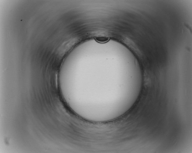 X0000103300014200809122040