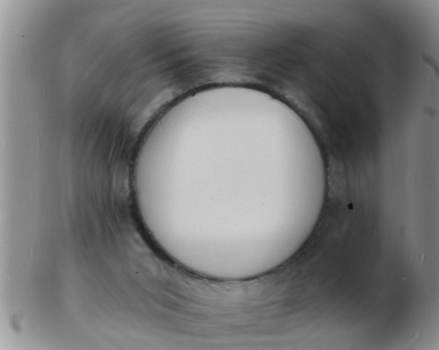 X0000103300015200809122040