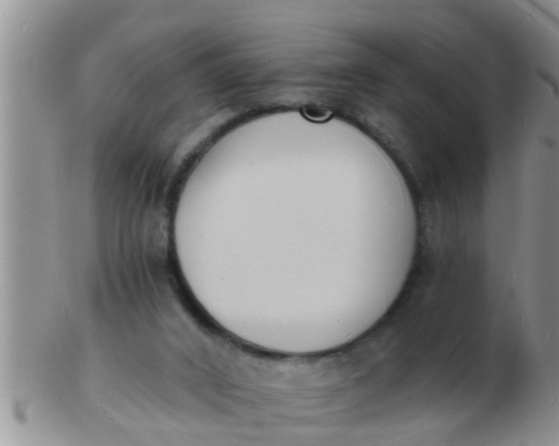 X0000103300016200809122039