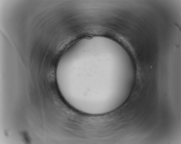 X0000103300017200809122039