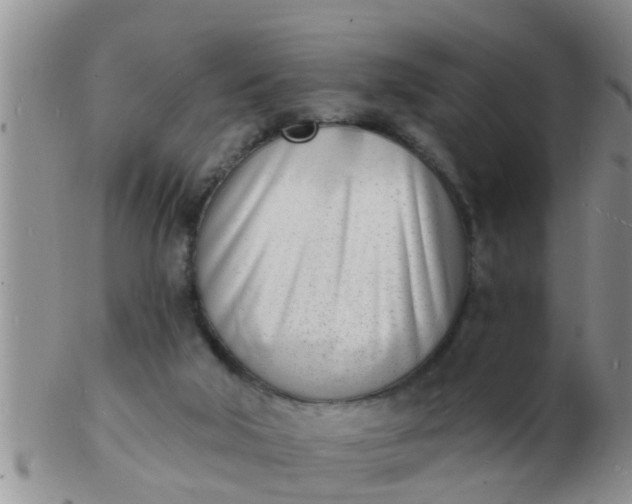 X0000103300018200809122039