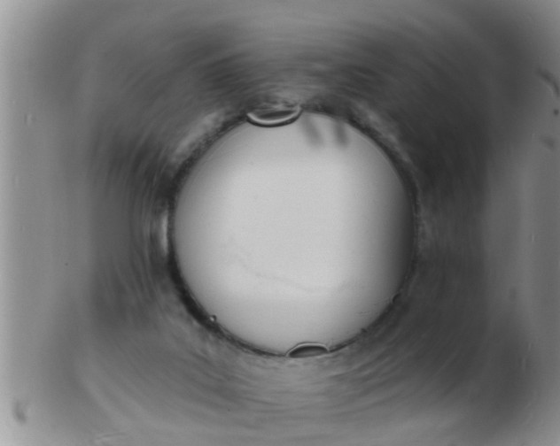 X0000103300019200809122039