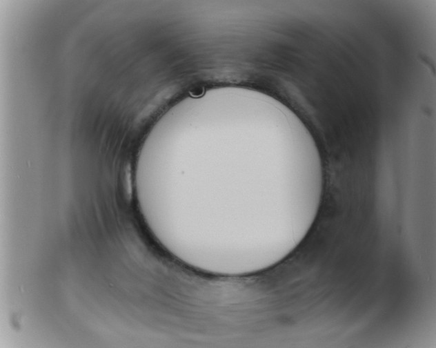 X0000103300020200809122039