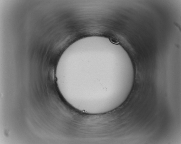 X0000103300021200809122039