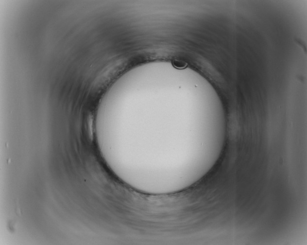 X0000103300022200809122039