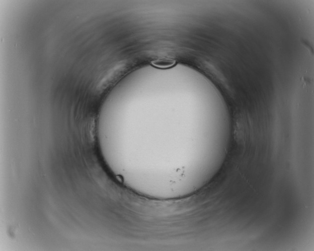 X0000103300023200809122039