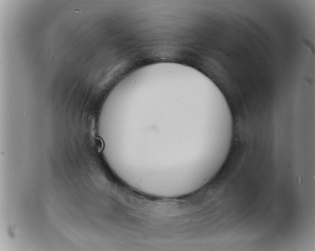 X0000103300024200809122039