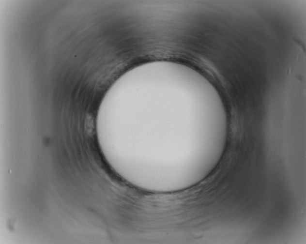 X0000103300025200809122039