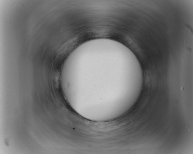 X0000103300026200809122039