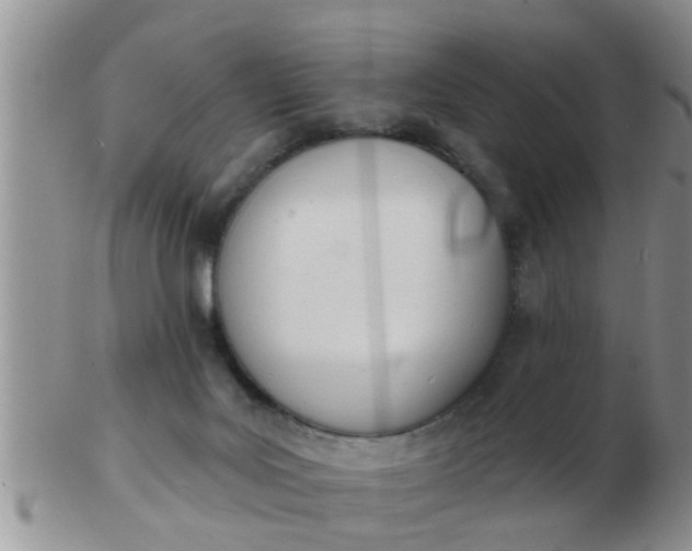 X0000103300027200809122039