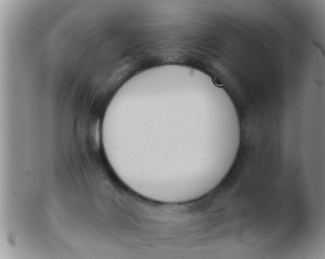 X0000103300028200809122039