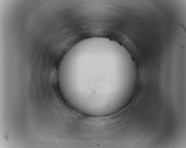 X0000103300029200809122039