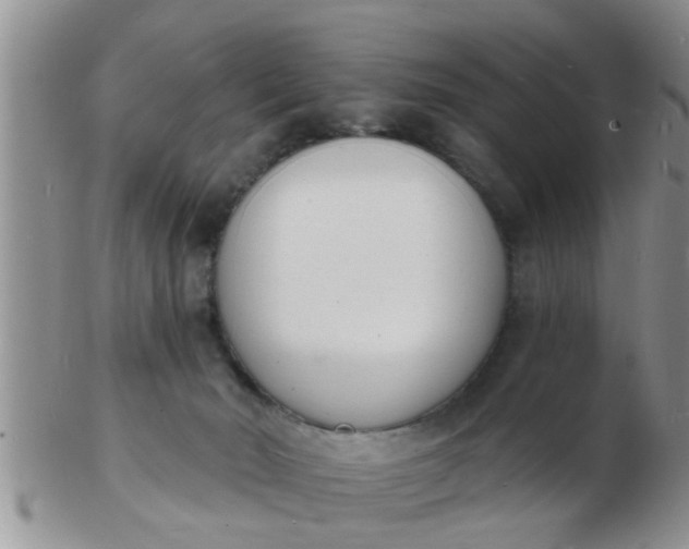 X0000103300030200809122039