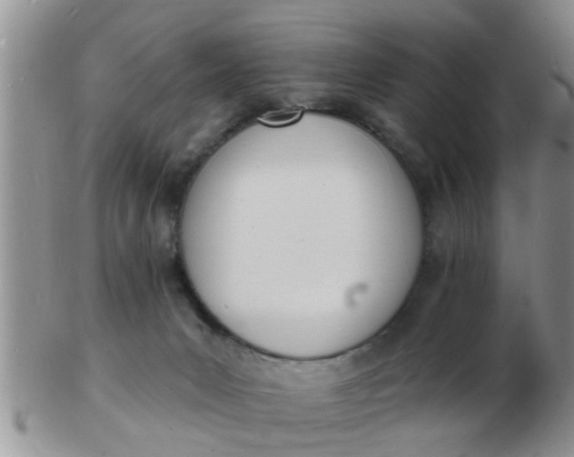 X0000103300031200809122039