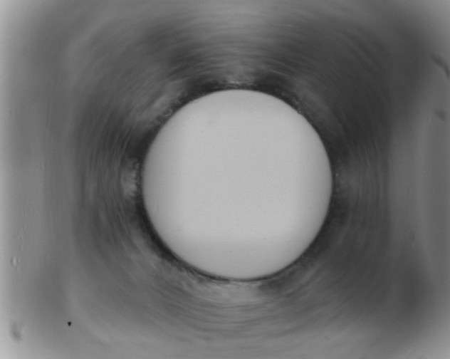 X0000103300032200809122039