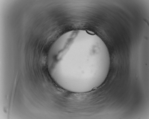 X0000103300033200809122039