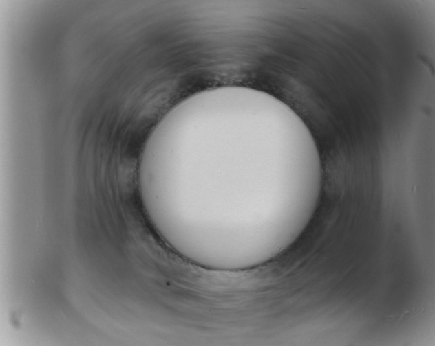 X0000103300034200809122039