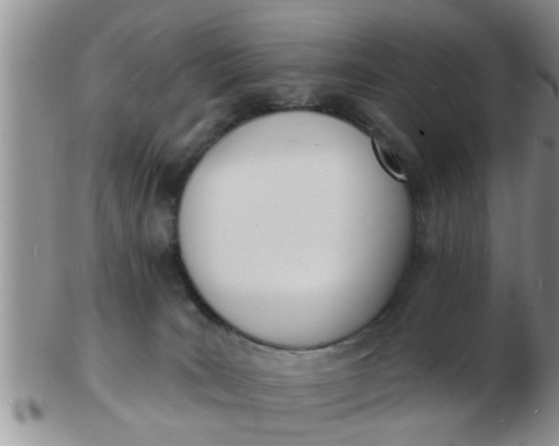 X0000103300035200809122039