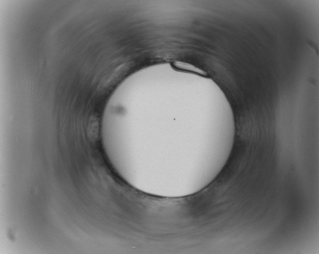 X0000103300036200809122039