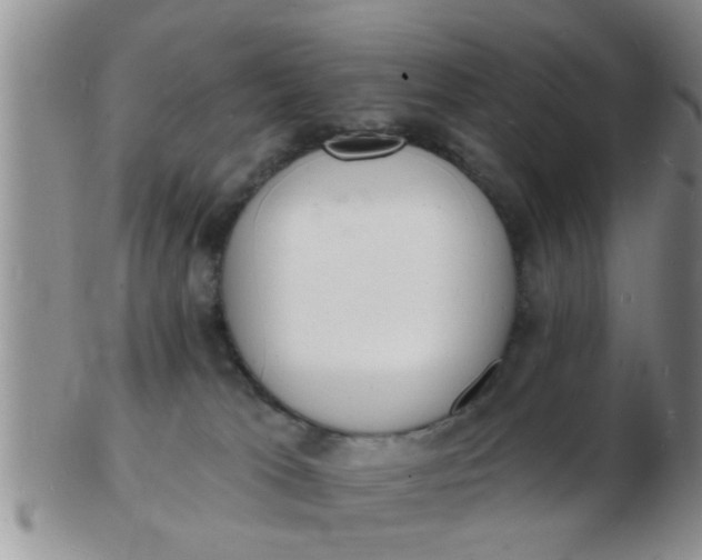 X0000103300037200809122039