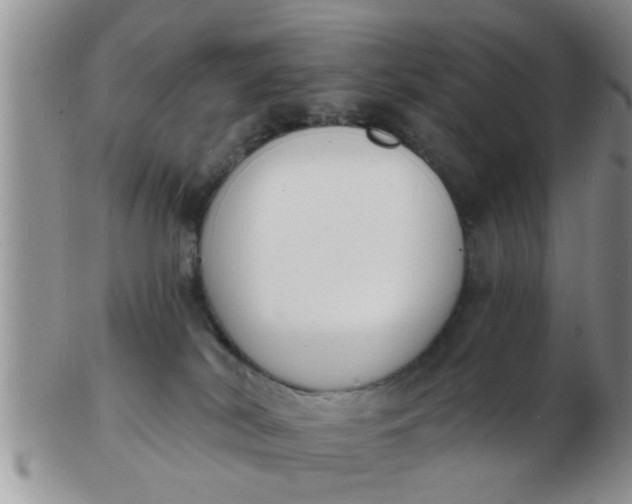 X0000103300038200809122039