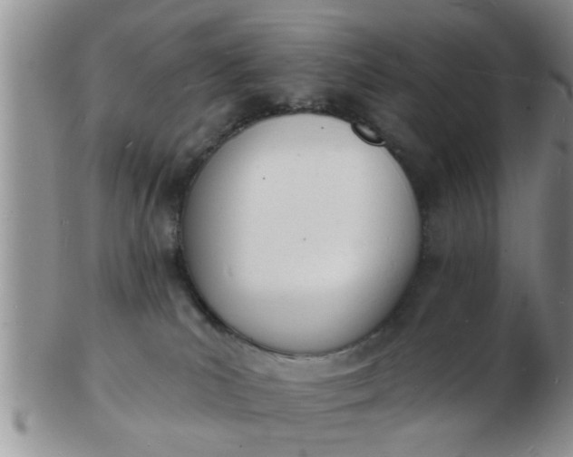 X0000103300039200809122039