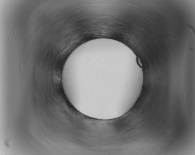 X0000103300040200809122039