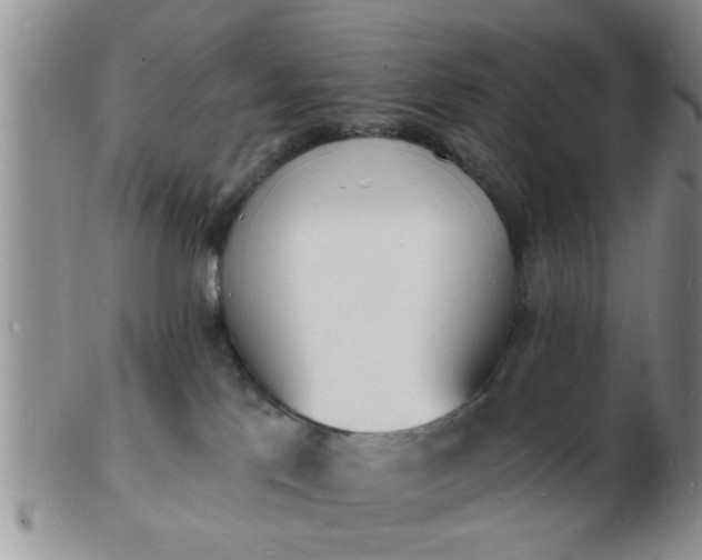 X0000103300041200809122039